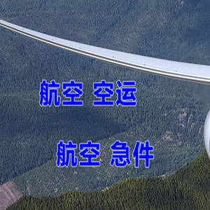 额济纳旗桃来航空货运快递-选东方航空和上海航空
